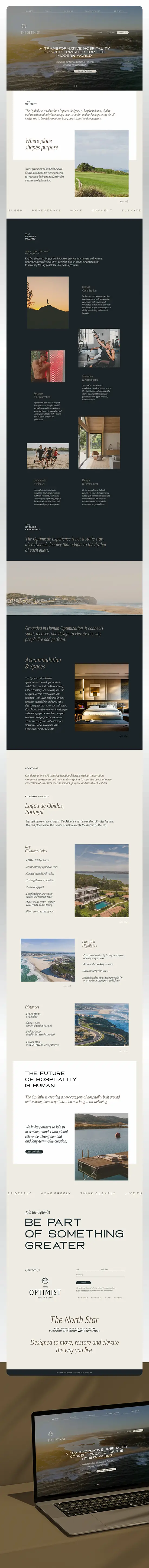 theoptimist projeto